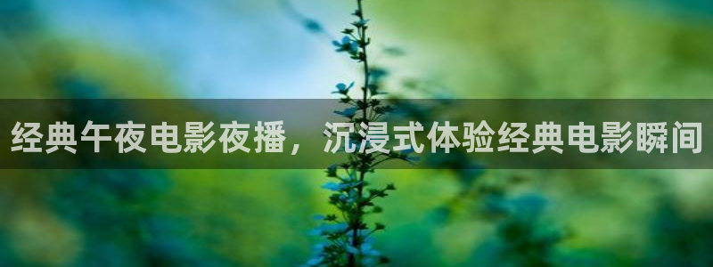 六安大地影院