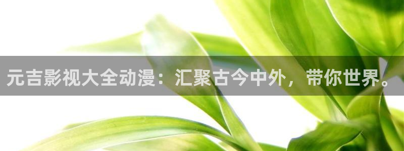 白银大地影院