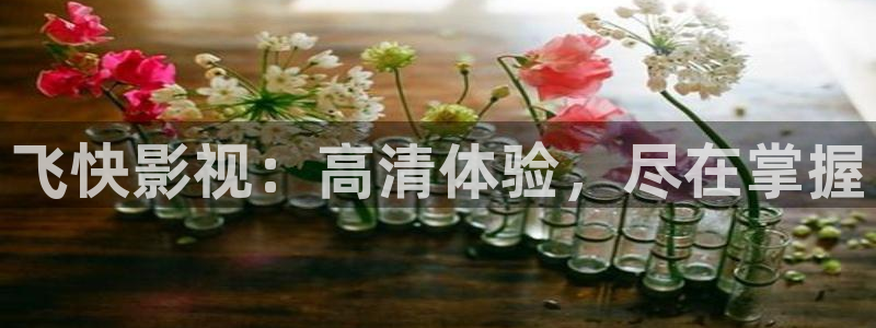 湛江大地影院
